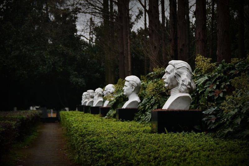 Encountering Einstein
